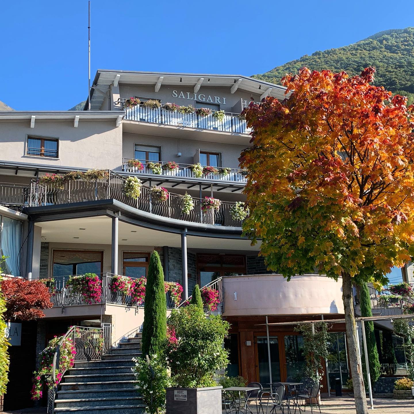 Benvenuti al Saligari Hotel: Immagine 2