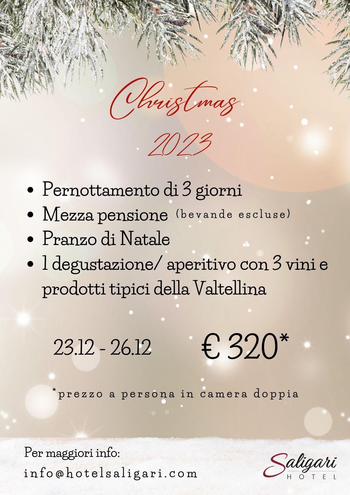 PACCHETTO NATALE 2023: Immagine 1