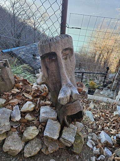 Alla Scoperta della Strada dei Cavalli: Un'Escursione tra Natura e Tradizione: Immagine 2