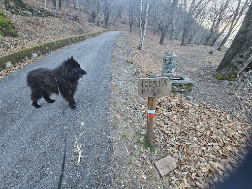 Alla Scoperta della Strada dei Cavalli: Un'Escursione tra Natura e Tradizione: Immagine 1