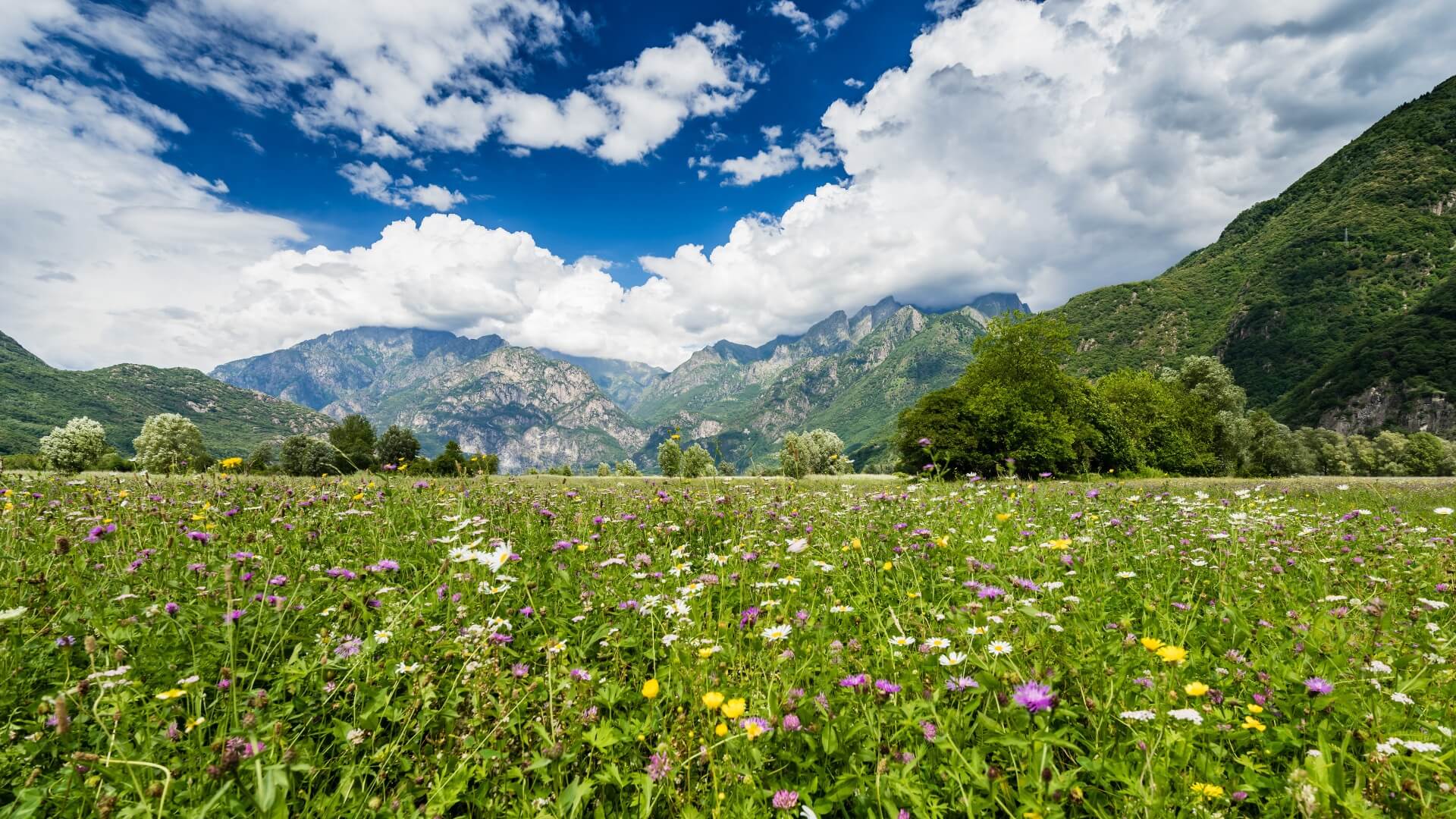 Valchiavenna, landescapes with Alps