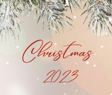 PACCHETTO NATALE 2023: Immagine